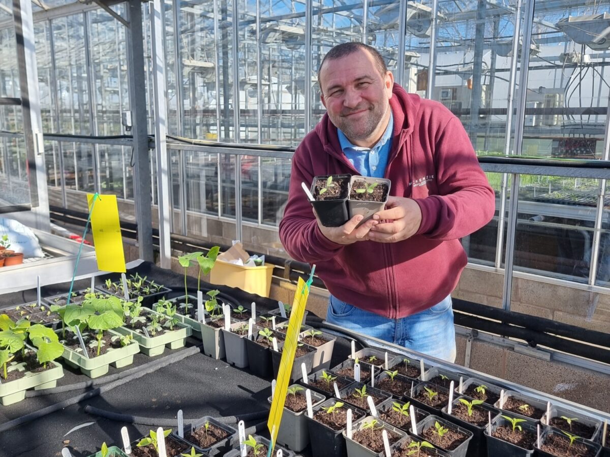 Chris Collins holding young seedlings