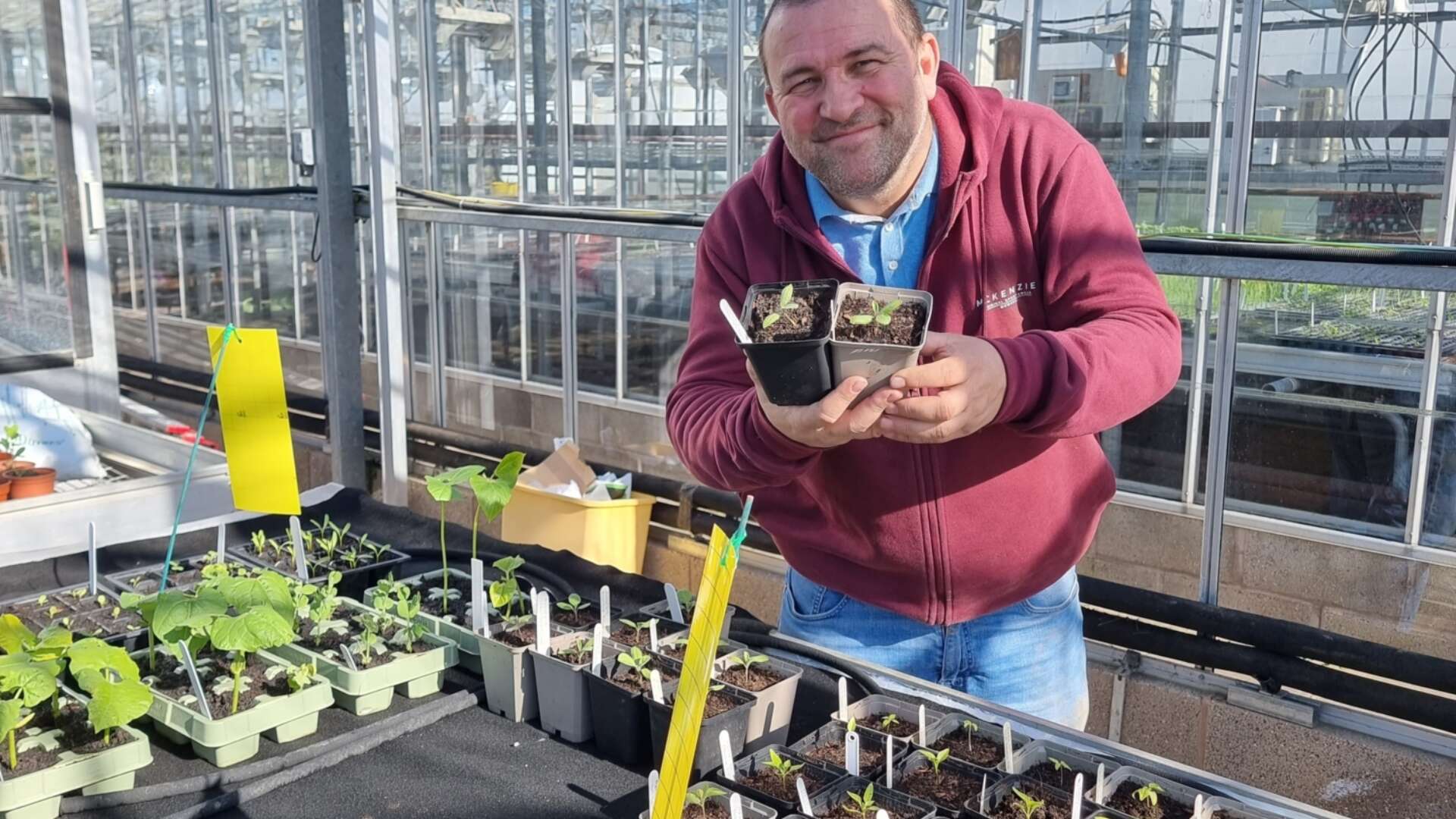 Chris Collins holding young seedlings