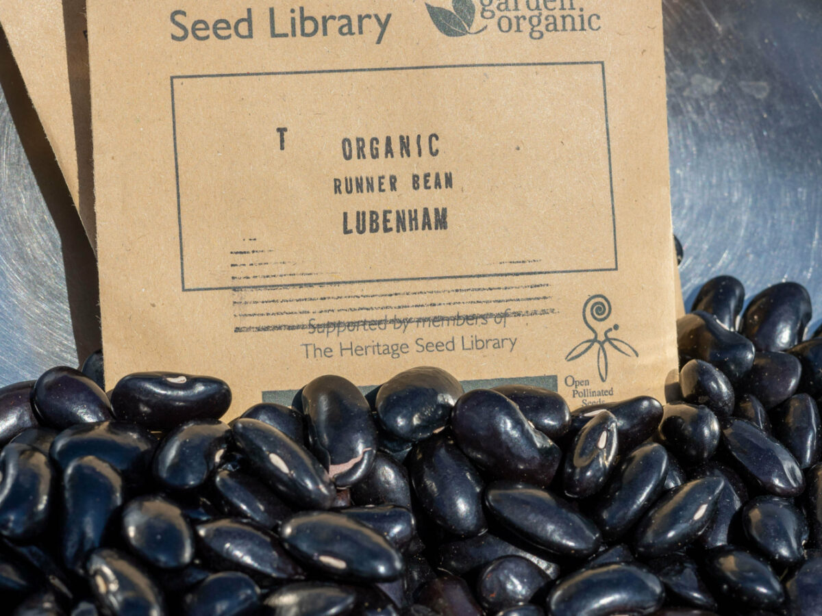 Heritage seed packet