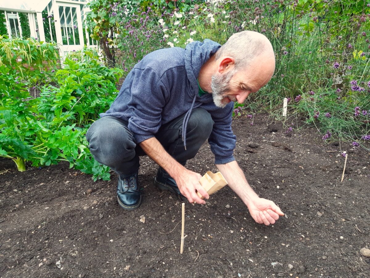 Green manures members experiment