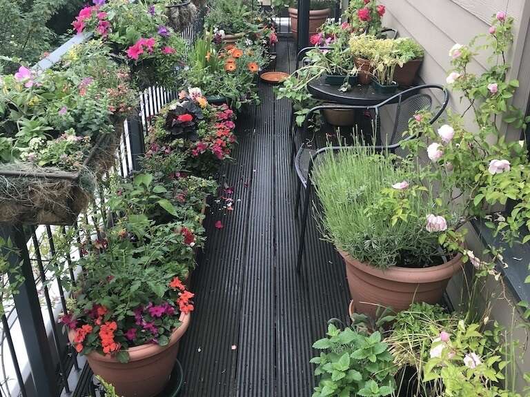 Growing in pots on a balcony