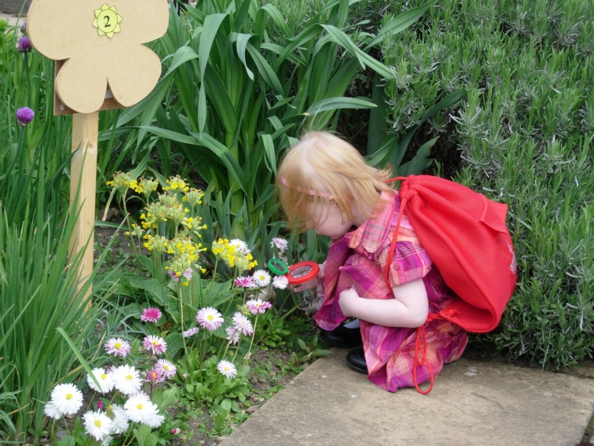 Children's garden train