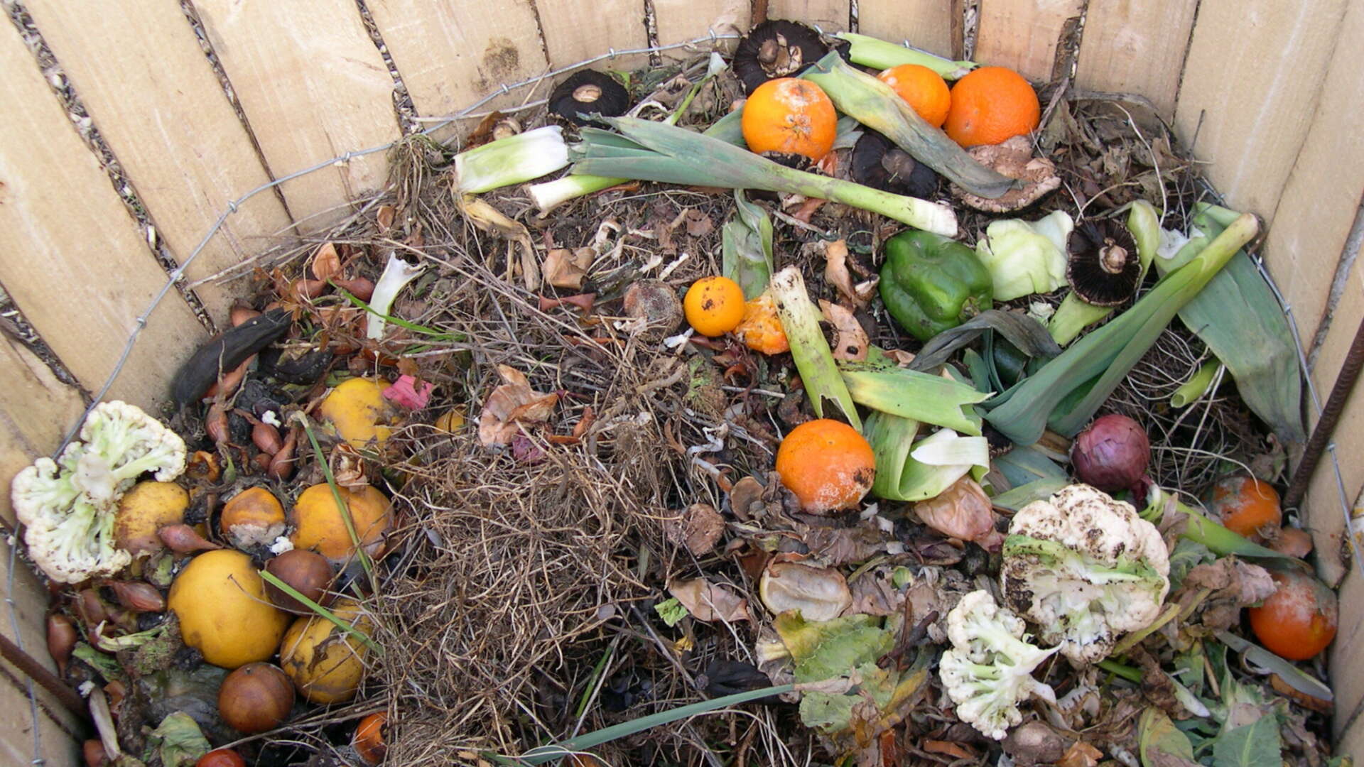 Compost bin at Ryton gardens