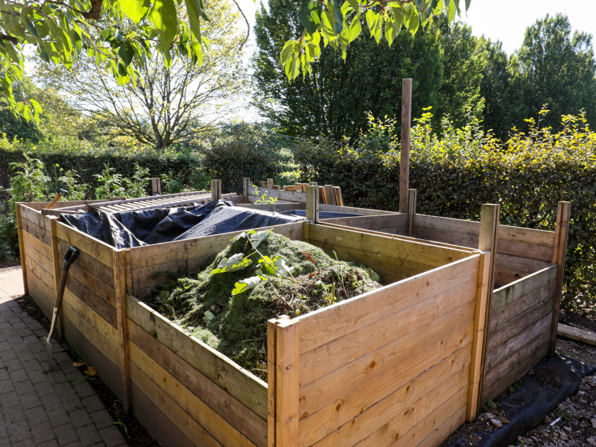 Full and covered compost bins