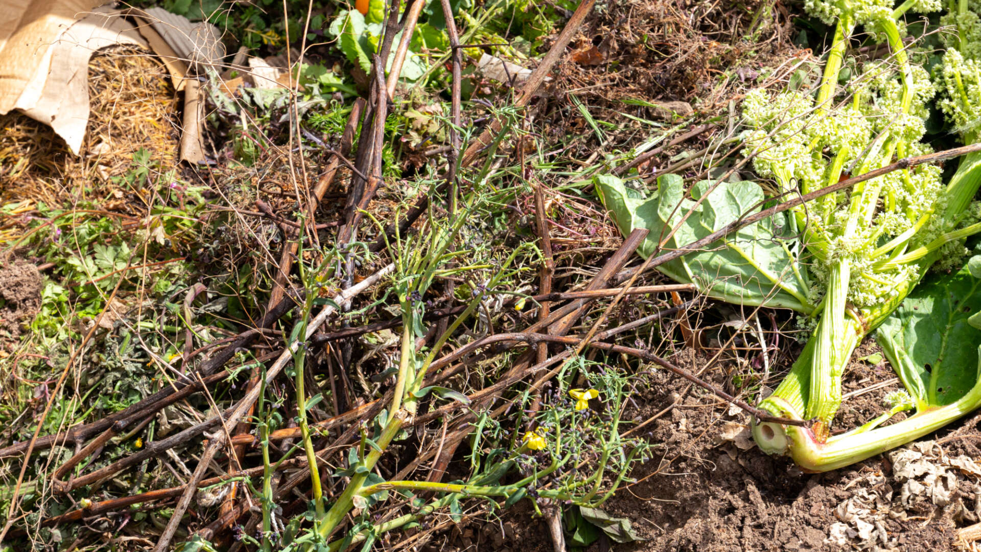 Compost ingredients in the heap