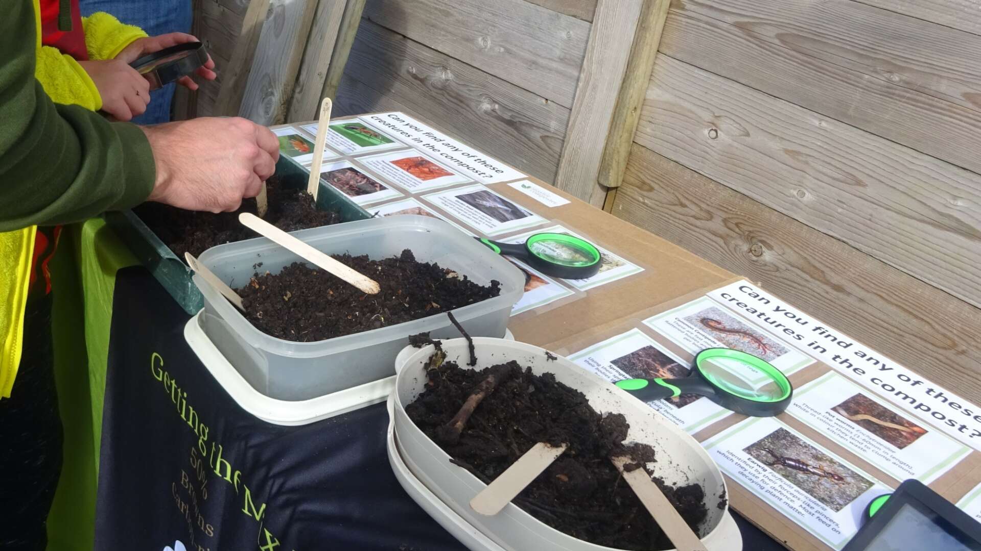 Tubs of compost with lollipop sticks in them.