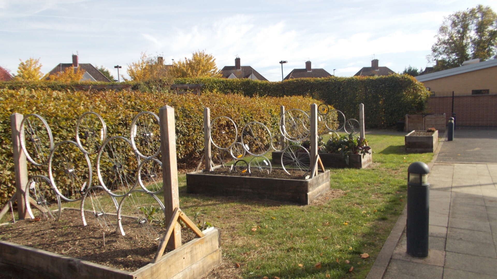 School garden