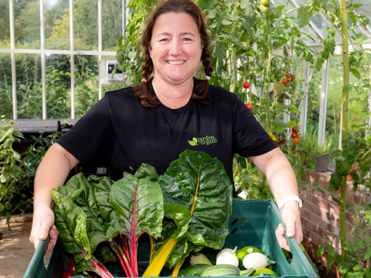 Harvested vegetables