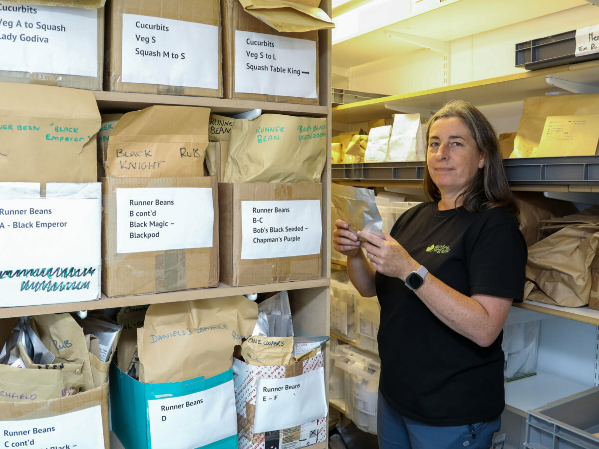 Heritage seed library at Ryton