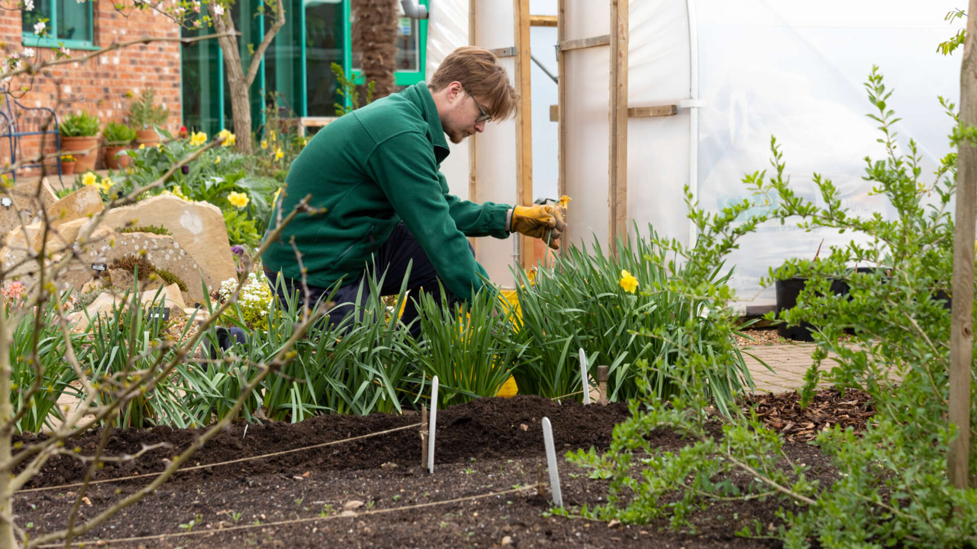 Master Gardeners community growing