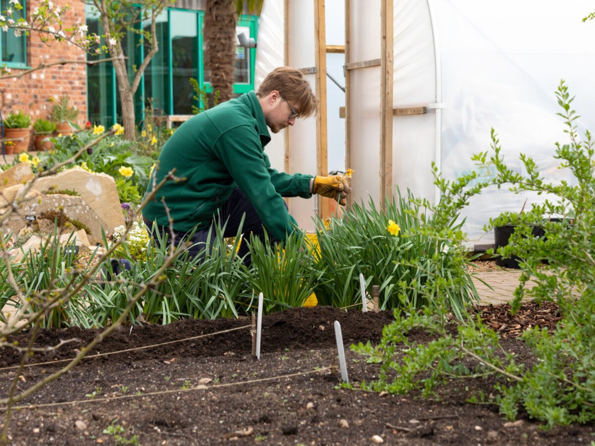 Master Gardeners community growing