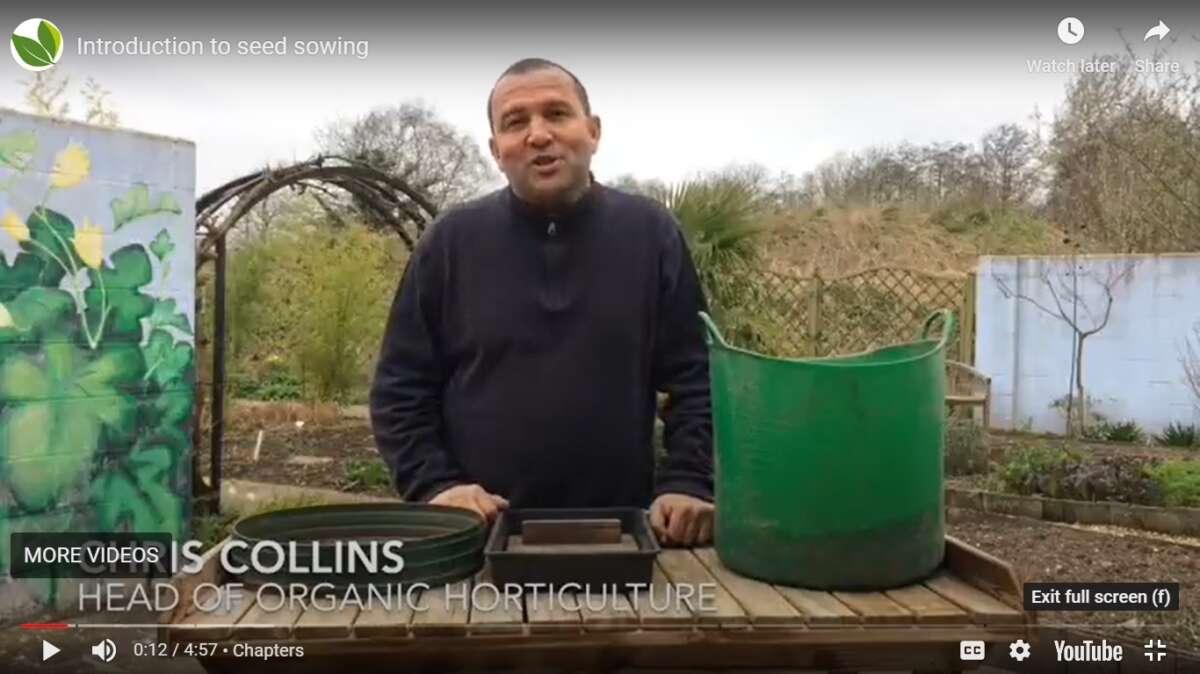 Seed sowing video